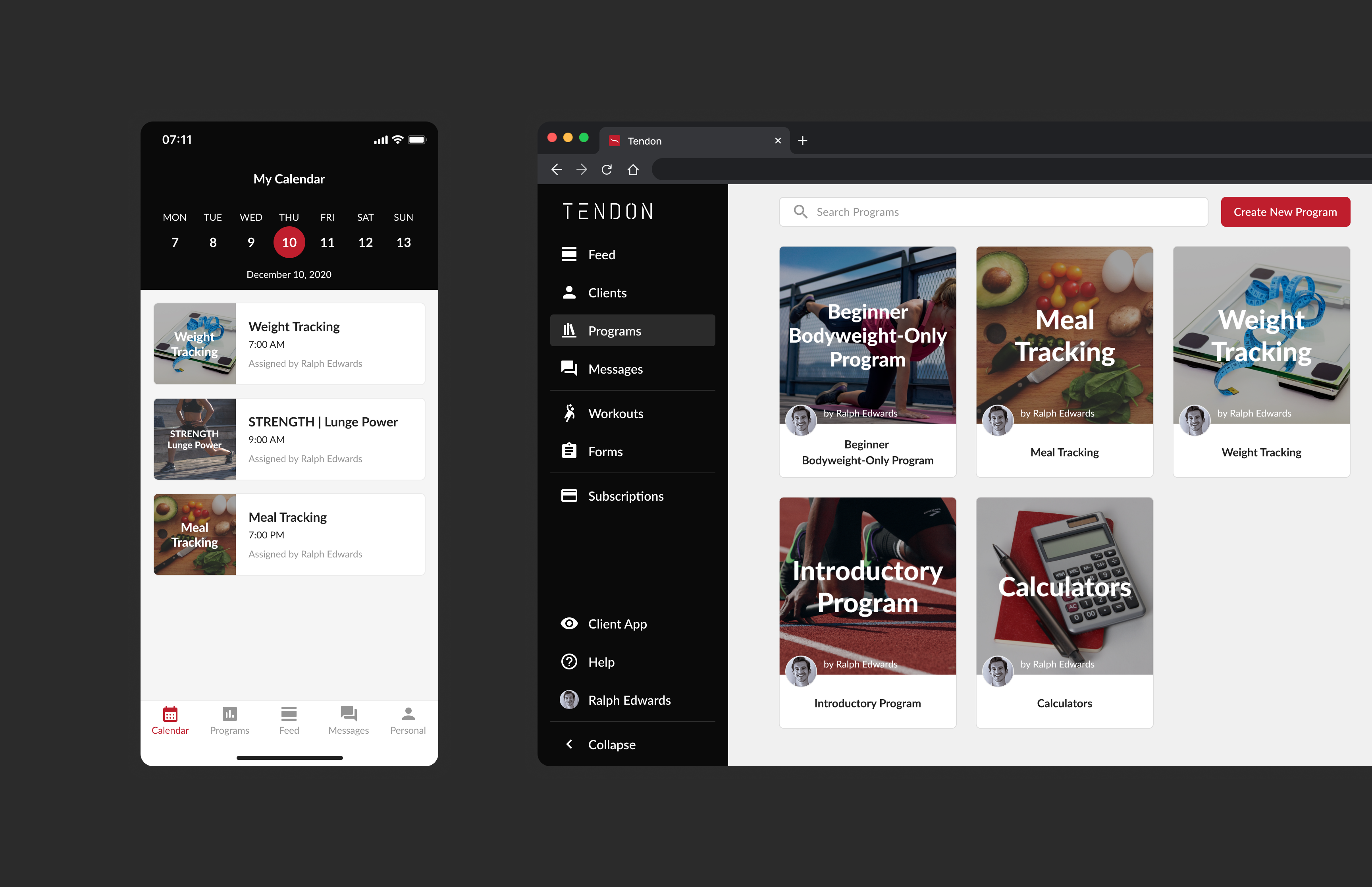 Tendon health and fitness product interfaces for calendar and program management